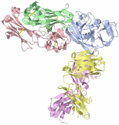 Image Biological Unit 1