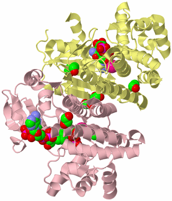 Image Biological Unit 2