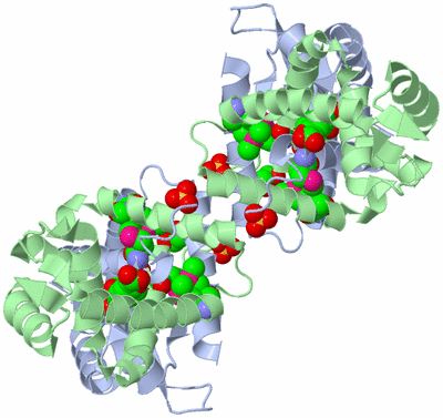 Image Biological Unit 1