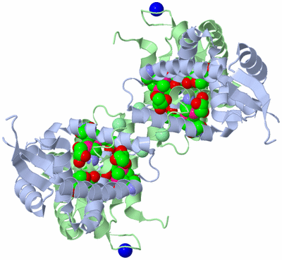 Image Biological Unit 1