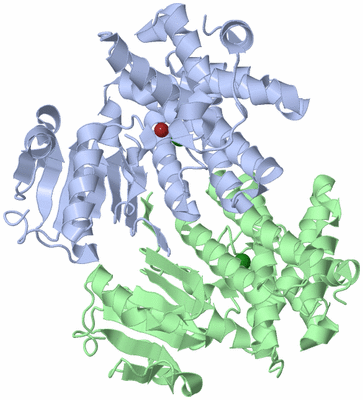 Image Asym./Biol. Unit