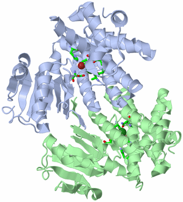 Image Asym./Biol. Unit - sites