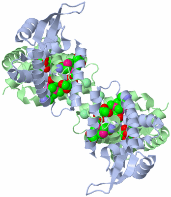 Image Biological Unit 1