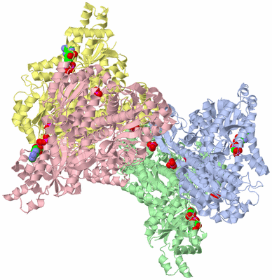 Image Biological Unit 1