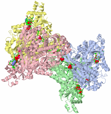 Image Biol. Unit 1 - sites