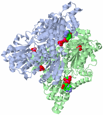 Image Biological Unit 2