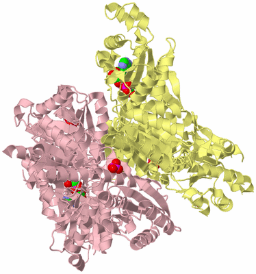 Image Biological Unit 3