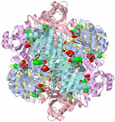 Image Biological Unit 1