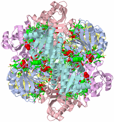 Image Biol. Unit 1 - sites