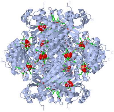 Image Biol. Unit 1 - sites