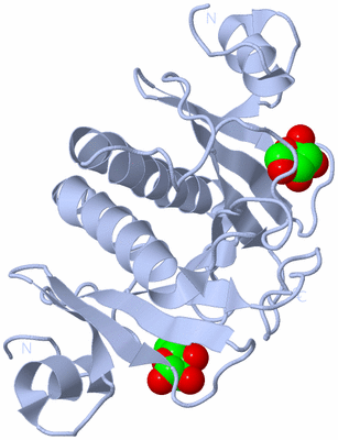 Image Biological Unit 1