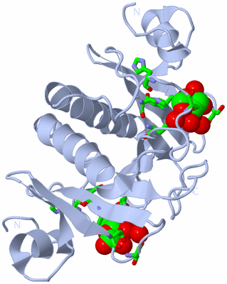 Image Biol. Unit 1 - sites