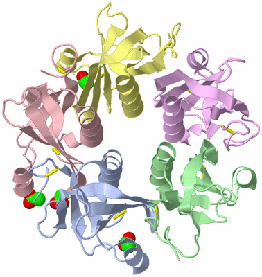 Image Asym./Biol. Unit