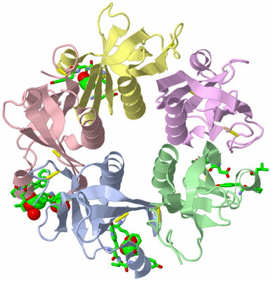 Image Asym./Biol. Unit - sites