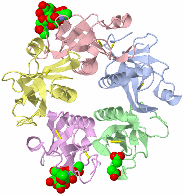 Image Asym./Biol. Unit