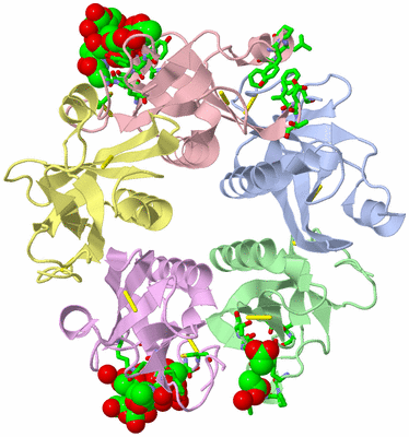 Image Asym./Biol. Unit - sites