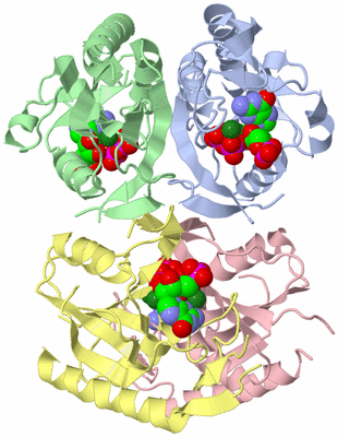 Image Biological Unit 1