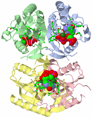 Image Biol. Unit 1 - sites