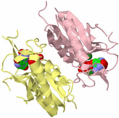 Image Biological Unit 3