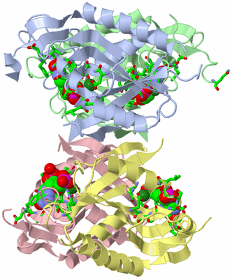 Image Biol. Unit 1 - sites