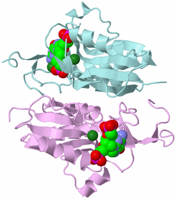 Image Biological Unit 2