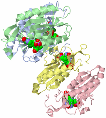 Image Biological Unit 1