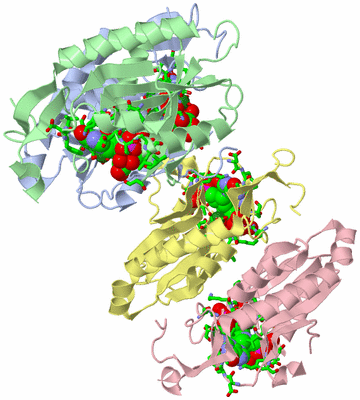 Image Biol. Unit 1 - sites