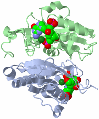 Image Biological Unit 2