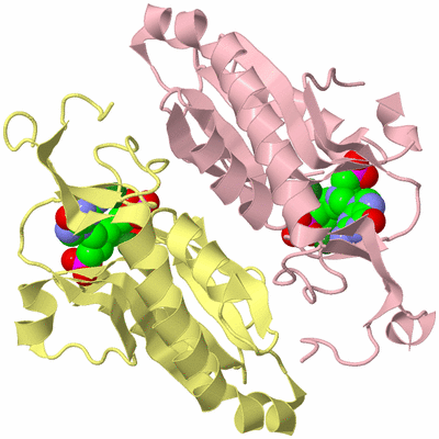 Image Biological Unit 3