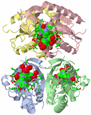 Image Biol. Unit 1 - sites