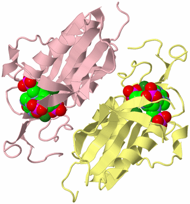 Image Biological Unit 3