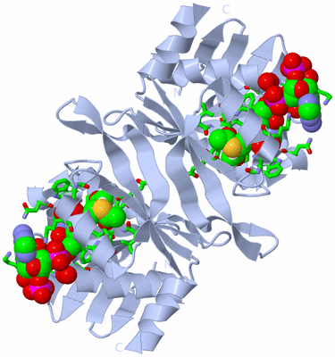 Image Biol. Unit 1 - sites