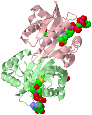 Image Biological Unit 2