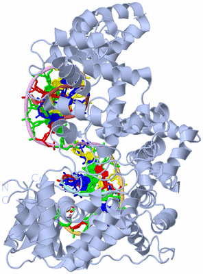 Image Biol. Unit 1 - sites