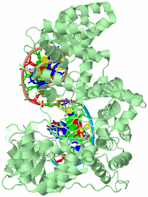 Image Biological Unit 2