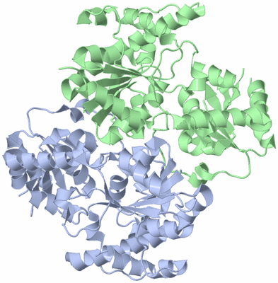 Image Asym./Biol. Unit