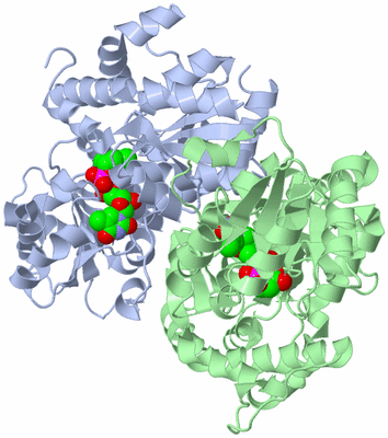 Image Asym./Biol. Unit