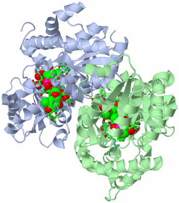 Image Asym./Biol. Unit - sites