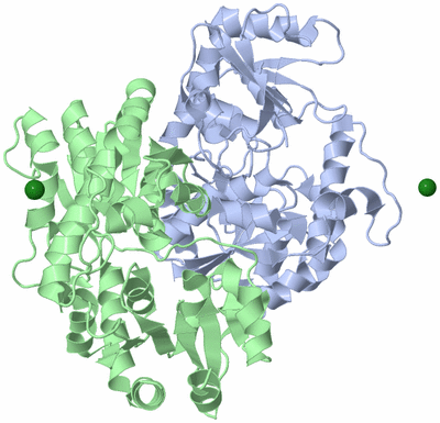 Image Asym./Biol. Unit