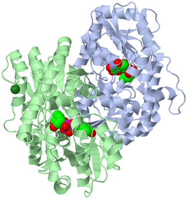 Image Asym./Biol. Unit