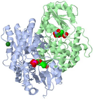 Image Asym./Biol. Unit