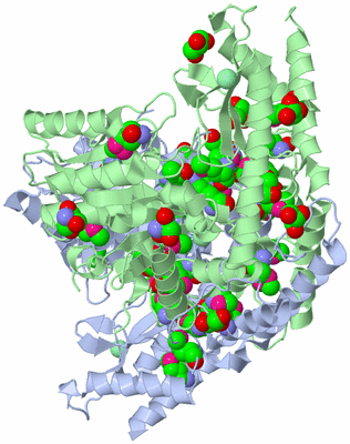 Image Asym./Biol. Unit