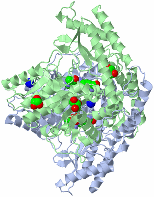 Image Biological Unit 1