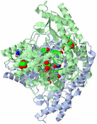 Image Biol. Unit 1 - sites