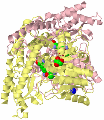 Image Biological Unit 2