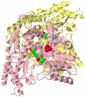 Image Biological Unit 2