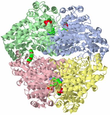 Image Asym./Biol. Unit