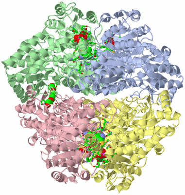 Image Asym./Biol. Unit - sites