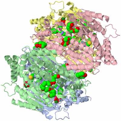 Image Biological Unit 1