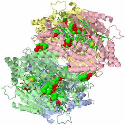 Image Biol. Unit 1 - sites